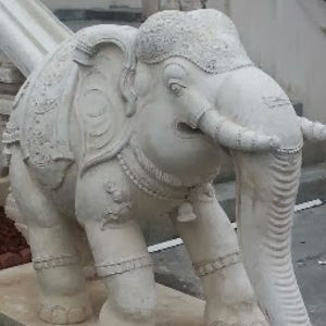 Meet your Posher, Carriann